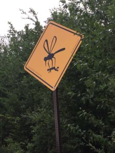 Yellow sign of a mosquito carrying a human