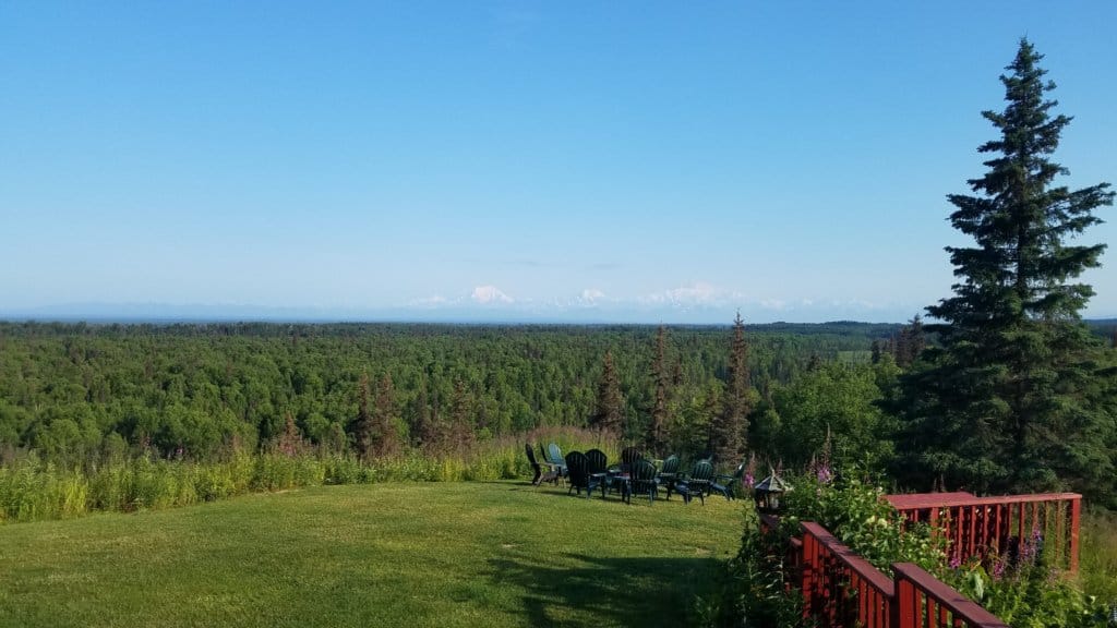 View across trees with Denal in the far background