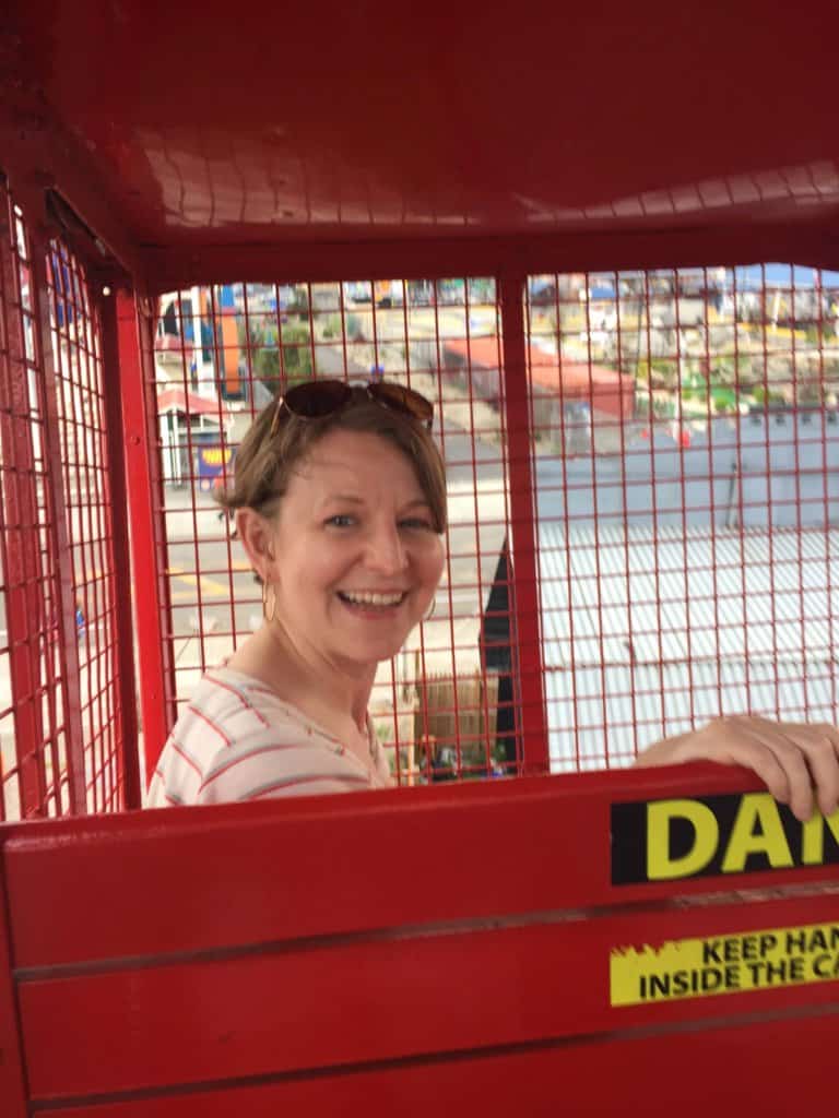 Female smiling in a red car on the ferris wheel