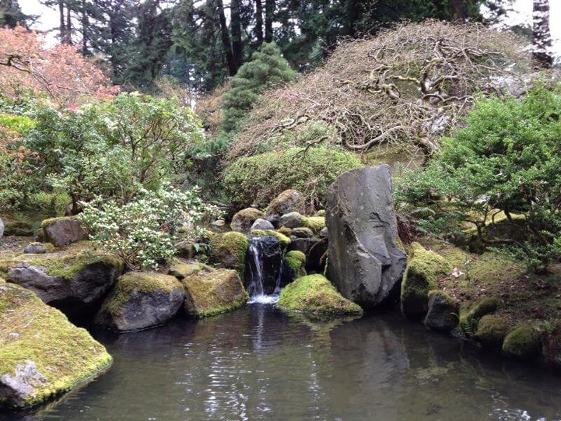 small waterfall into a pond