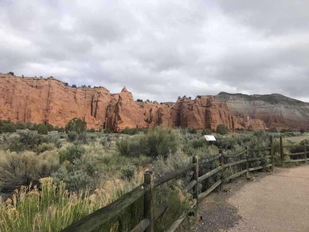 desert with green scrubs and red rocks in the background