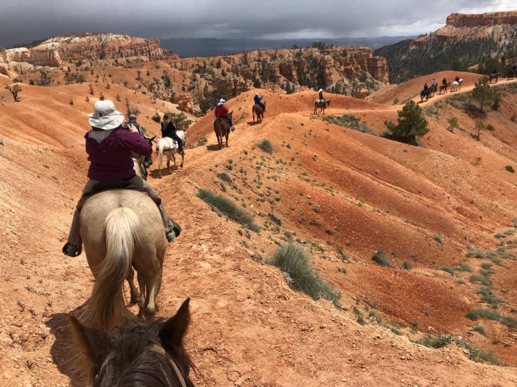 people on horseback riding down into a red rock canyon