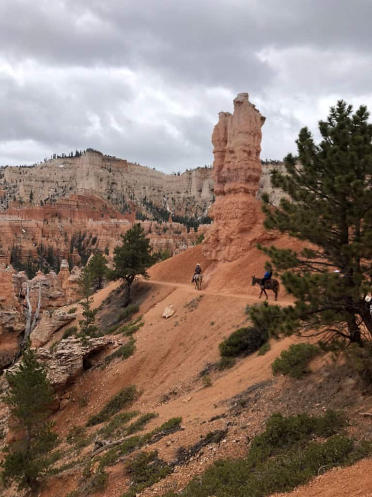 people on horseback riding down into a red rock canyon