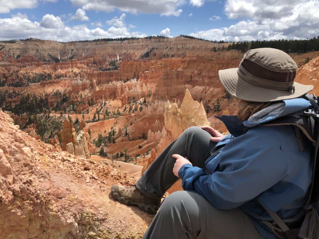 person sitting looking out into a red rock canyon