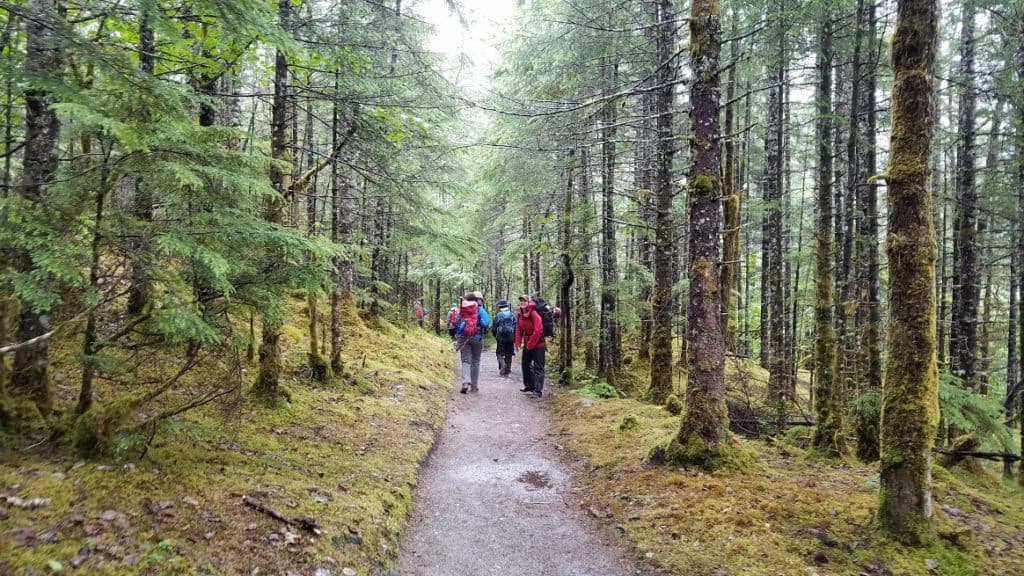 Hiking in Alaska in the Tongass National Forest