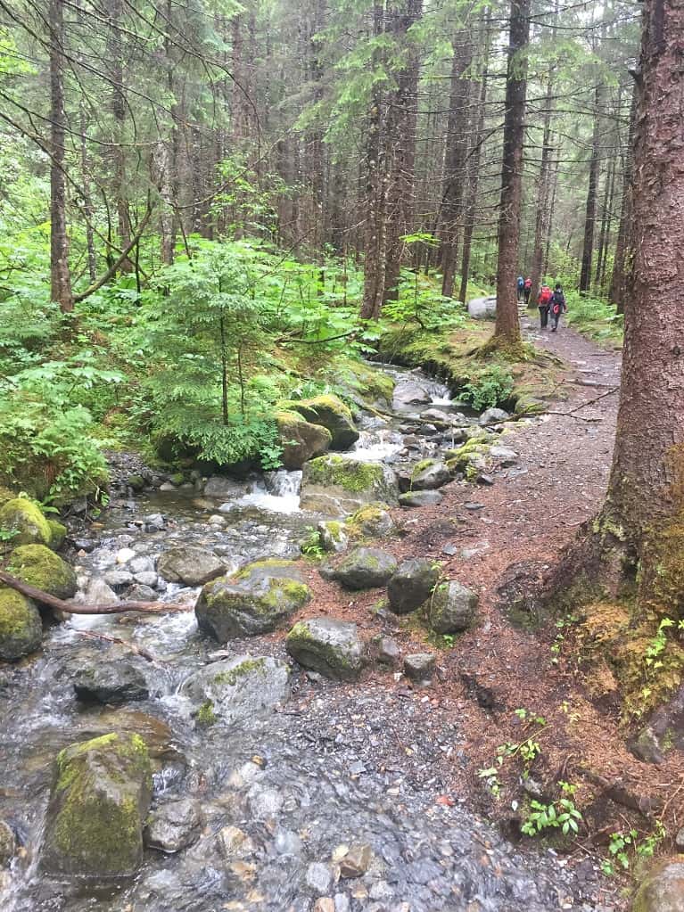 Hiking to Mendenhall Glacier in the Tongass National Forest