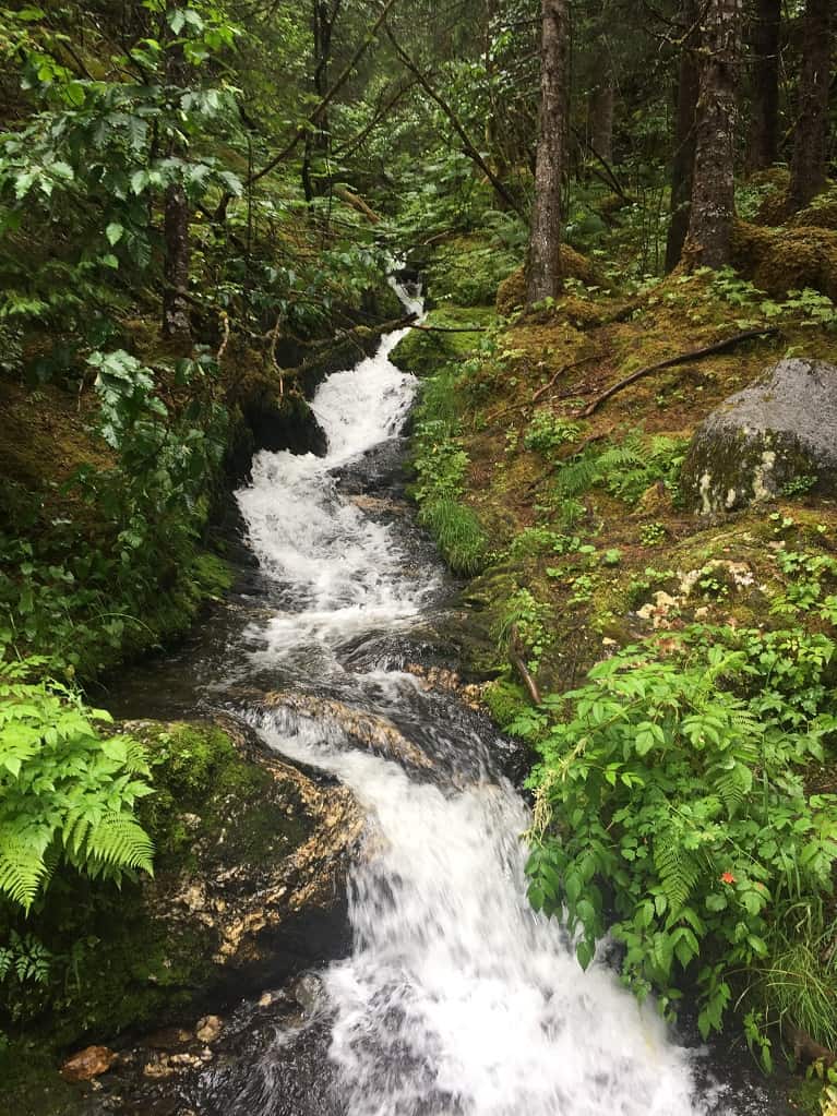 Hiking to Mendenhall Glacier in the Tongass National Forest