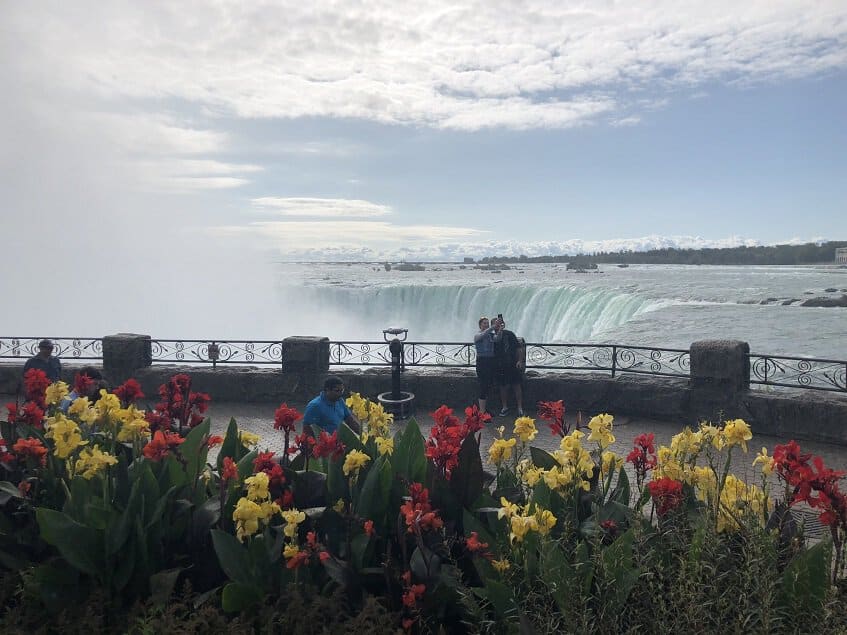 Horseshoe Falls from the Overlook