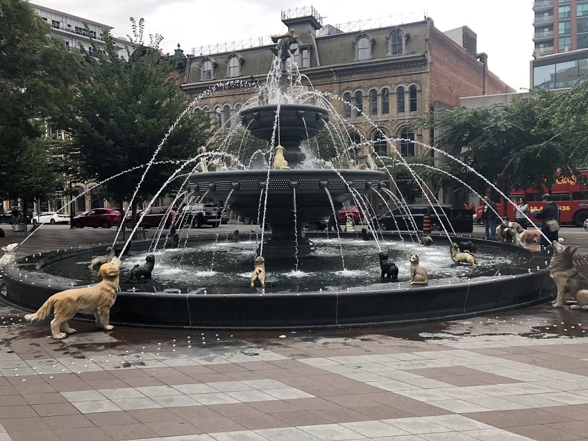 Dog Fountain at Berczy Park