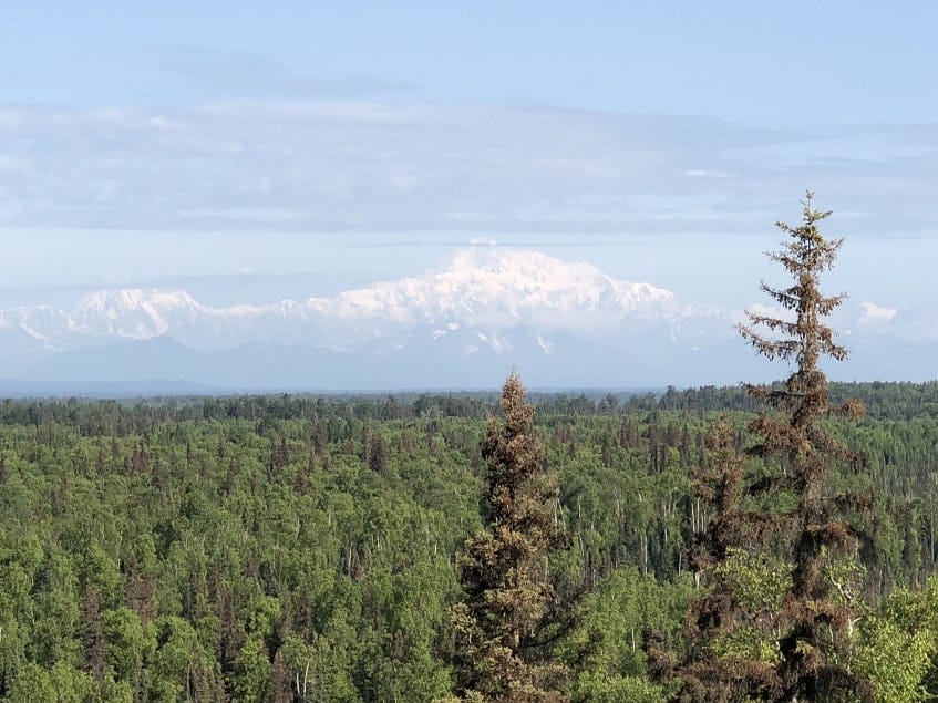 View of Denali during the day