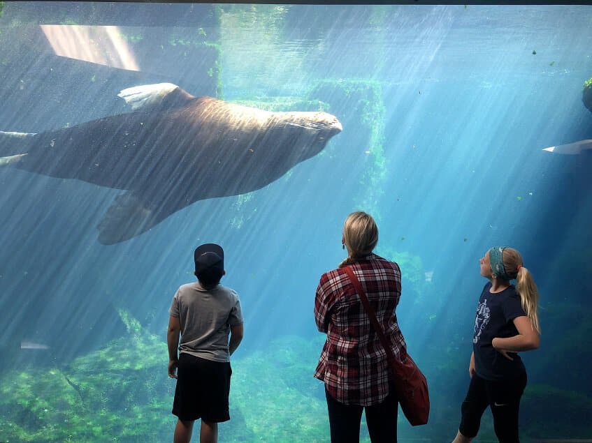 Visitors at Alaska Sealife Center