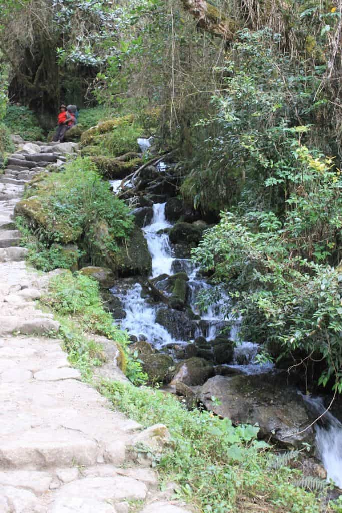 Stream along the trail