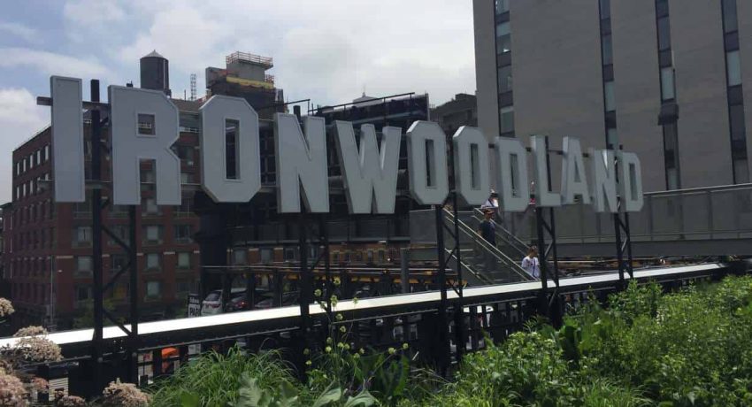 Art along The High Line reading Ironwoodland